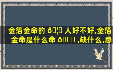 金箔金命的 🦟 人好不好,金箔金命是什么命 🐟 ,缺什么,忌什么
